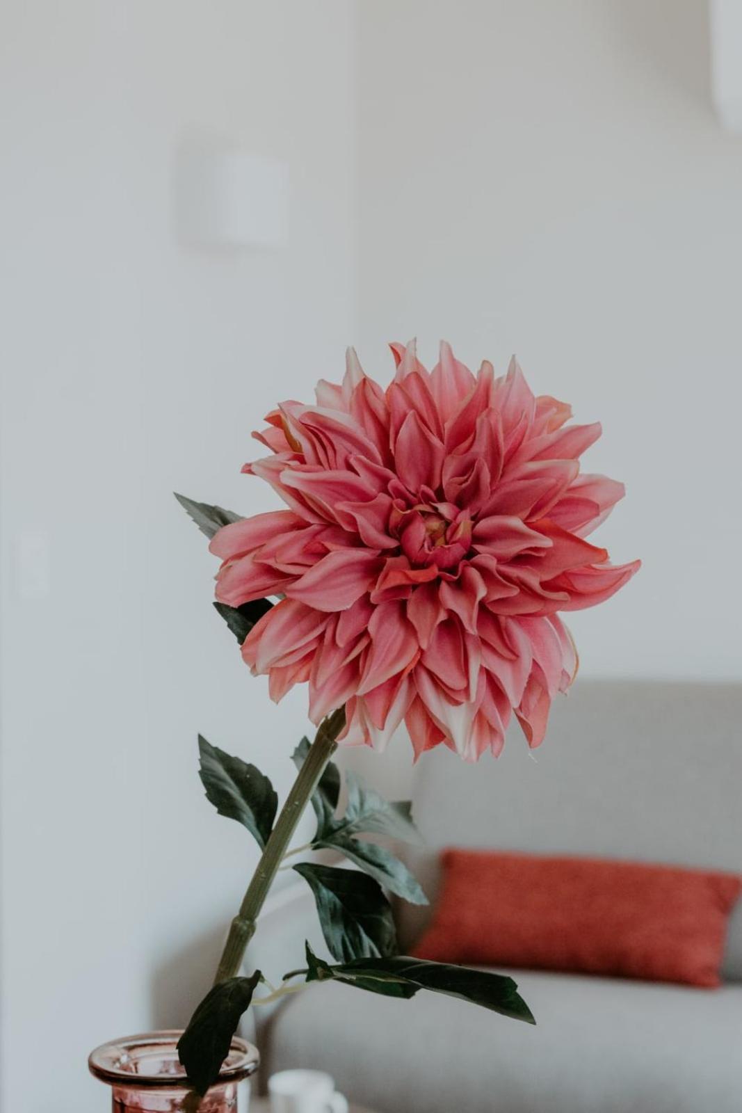 Apartment At In Clermont, Place De Jaude *